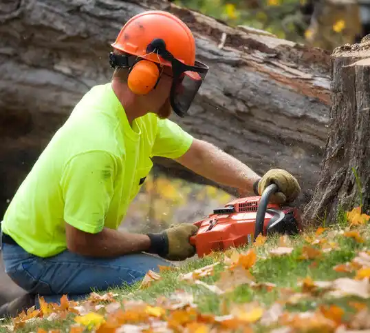 tree services Country Knolls